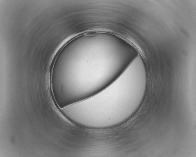 X0000116611092200912110956