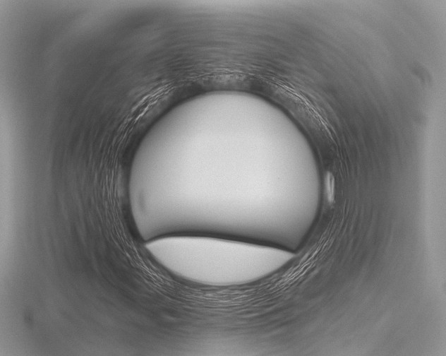X0000116611107200912110955