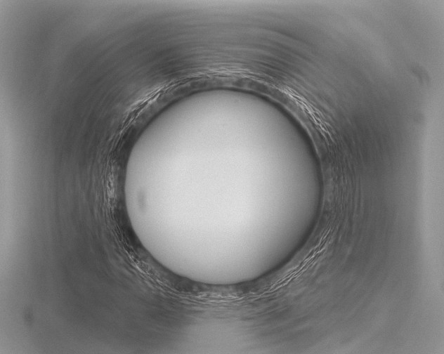 X0000116611110200912110955