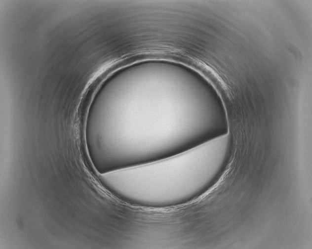 X0000116611114200912110955