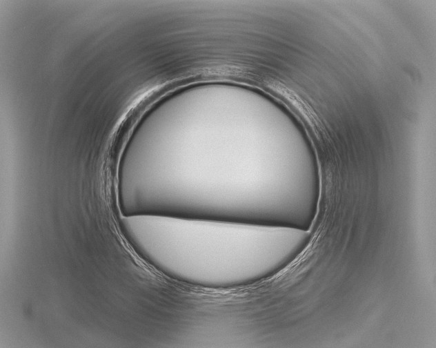 X0000116611115200912110955