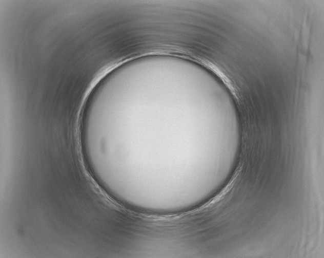 X0000116611122200912110955