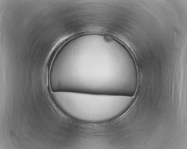 X0000116611123200912110955