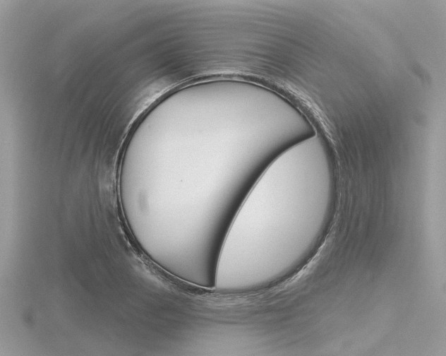 X0000116611129200912110955