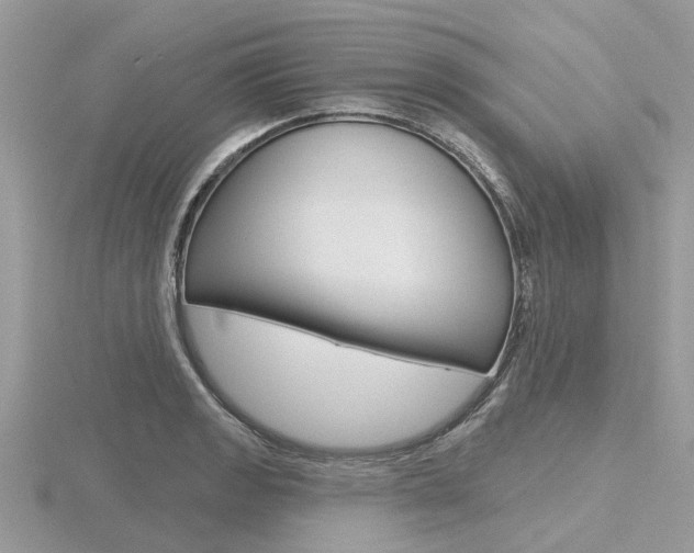 X0000116611133200912110955