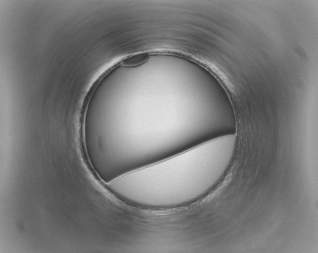 X0000116611134200912110955