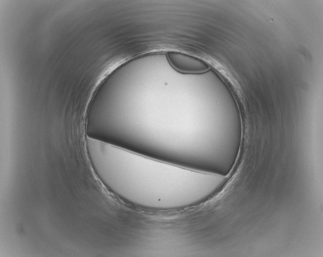 X0000116611145200912110955