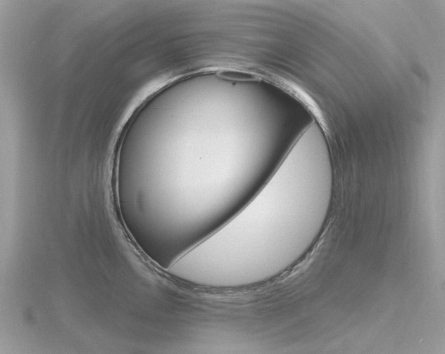 X0000116611146200912110955