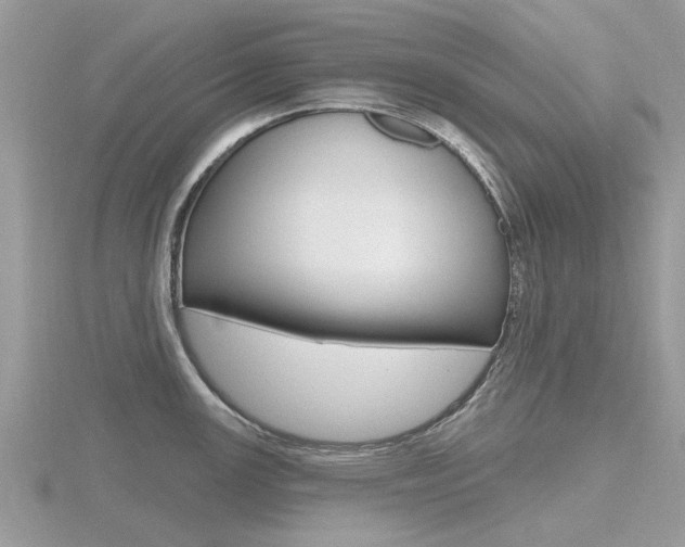 X0000116611147200912110955