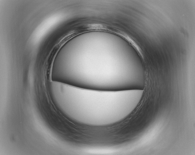X0000116611151200912110955