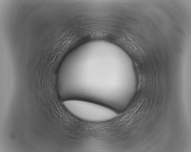 X0000116611153200912110955