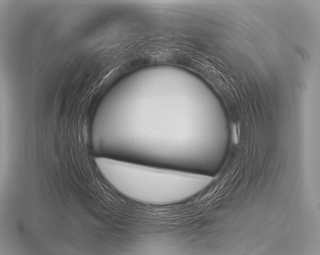 X0000116611155200912110955