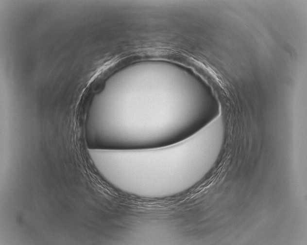 X0000116611160200912110955