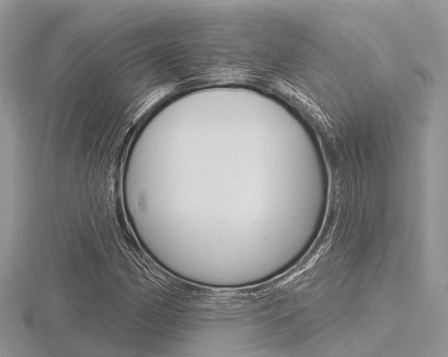 X0000116611162200912110955