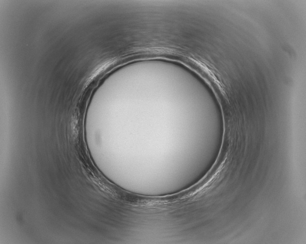 X0000116611163200912110955