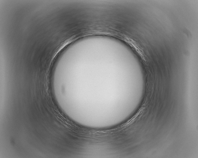 X0000116611165200912110955