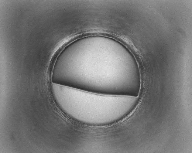 X0000116611167200912110955