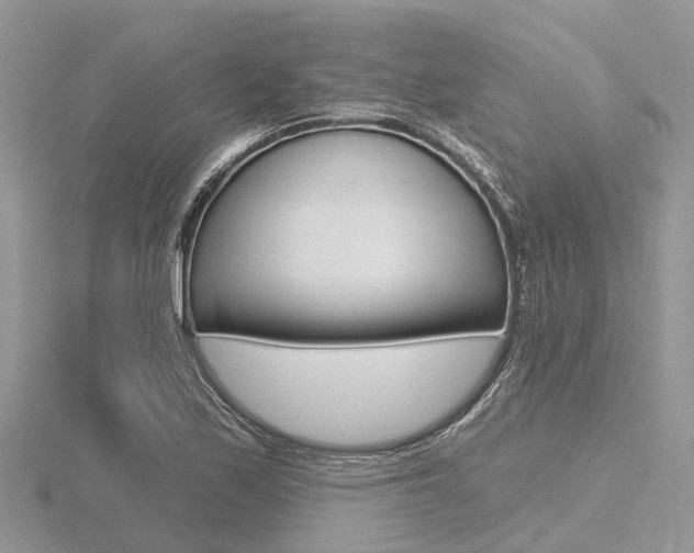 X0000116611171200912110955
