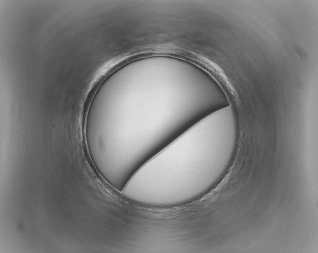 X0000116611176200912110955