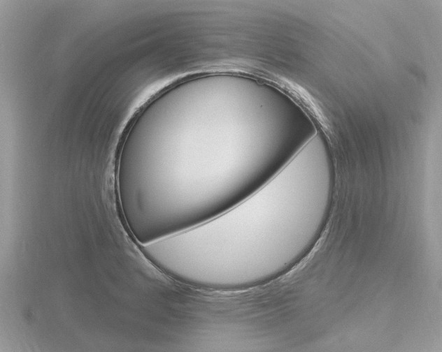 X0000116611184200912110954