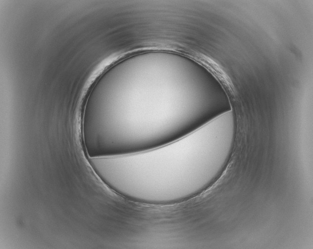X0000116611188200912110954