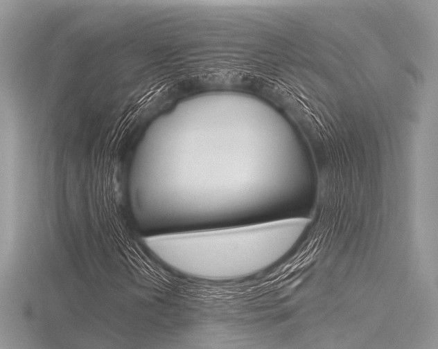 X0000116611202200912110953