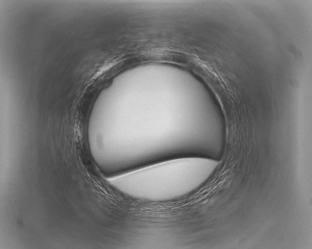 X0000116611206200912110953