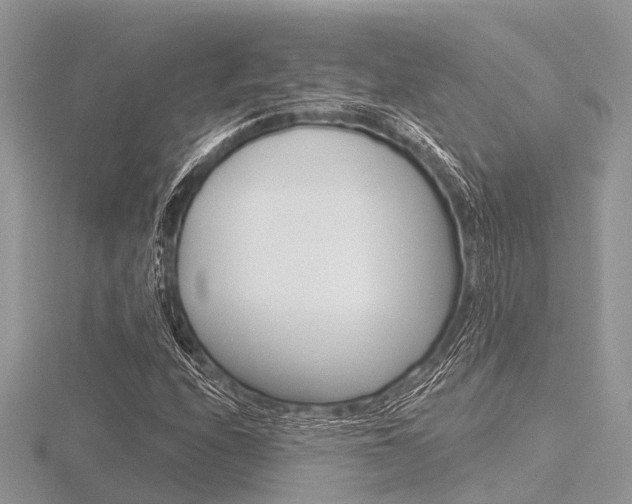 X0000116611208200912110954