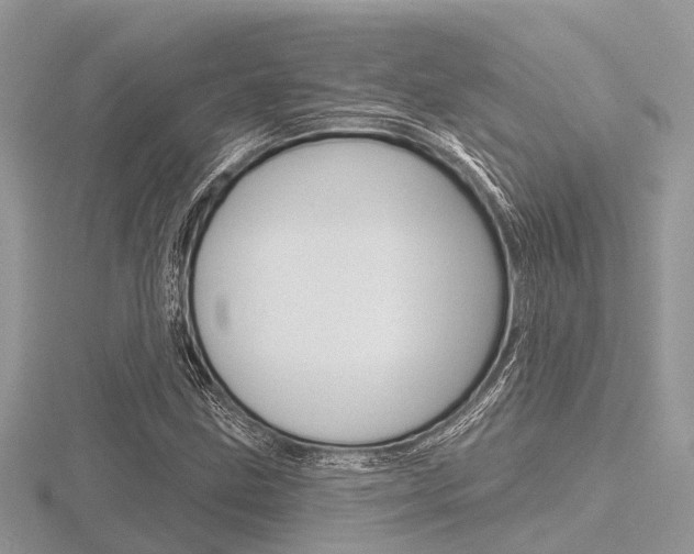 X0000116611211200912110954