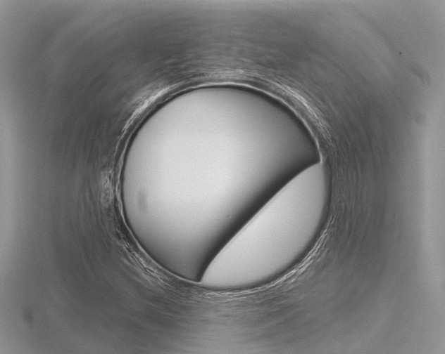 X0000116611212200912110954
