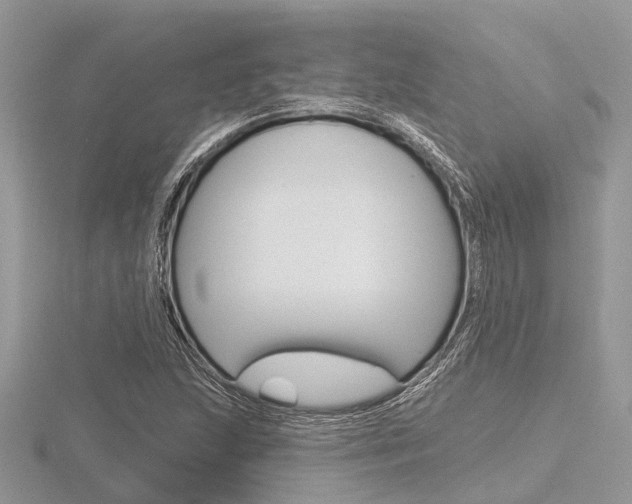 X0000116611215200912110954