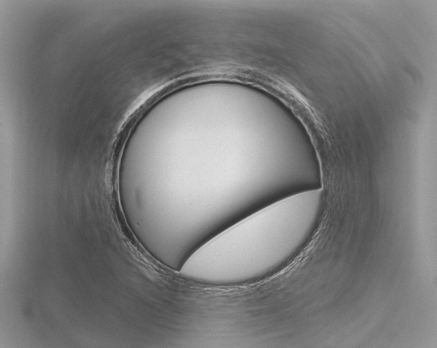 X0000116611216200912110954