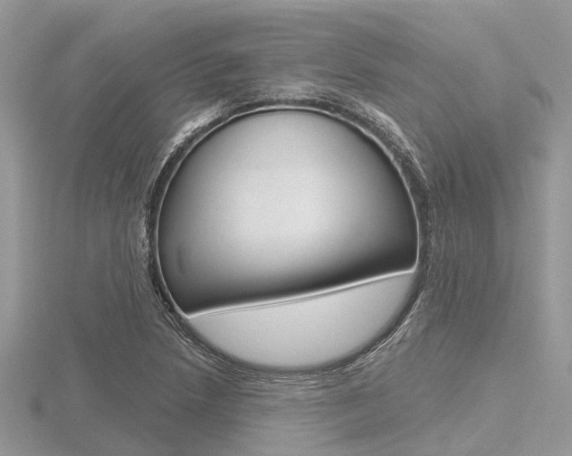 X0000116611218200912110954