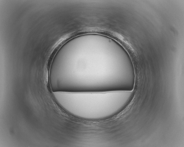 X0000116611221200912110954