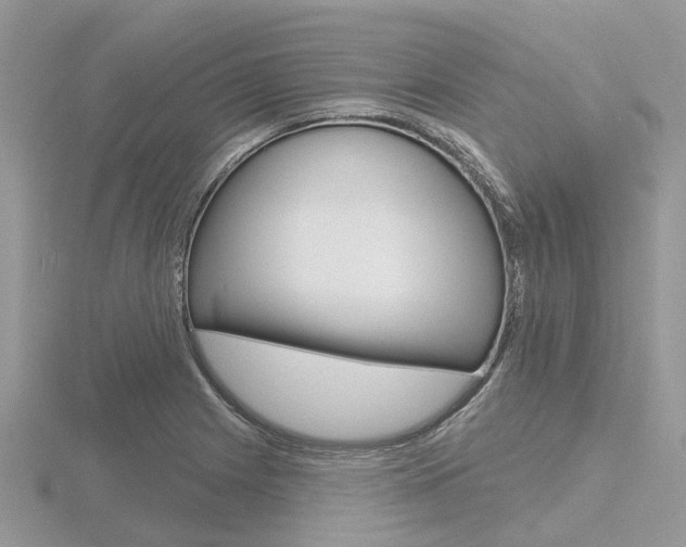 X0000116611225200912110954