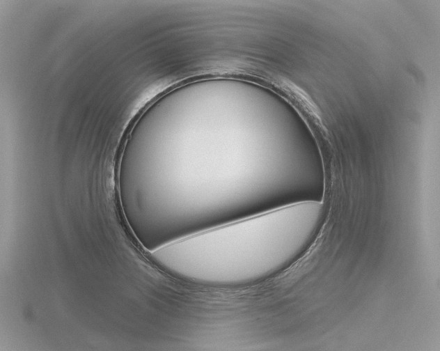 X0000116611226200912110954