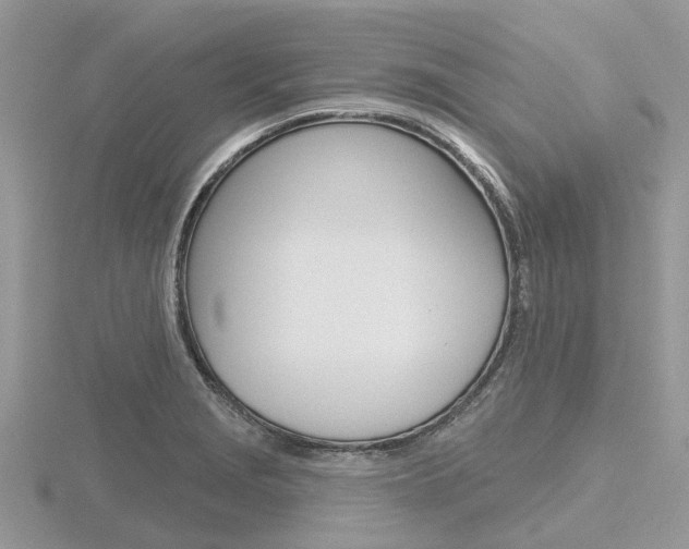 X0000116611229200912110954