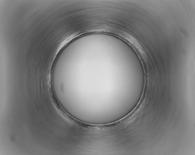 X0000116611234200912110954