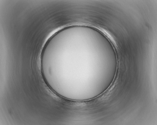 X0000116611238200912110954