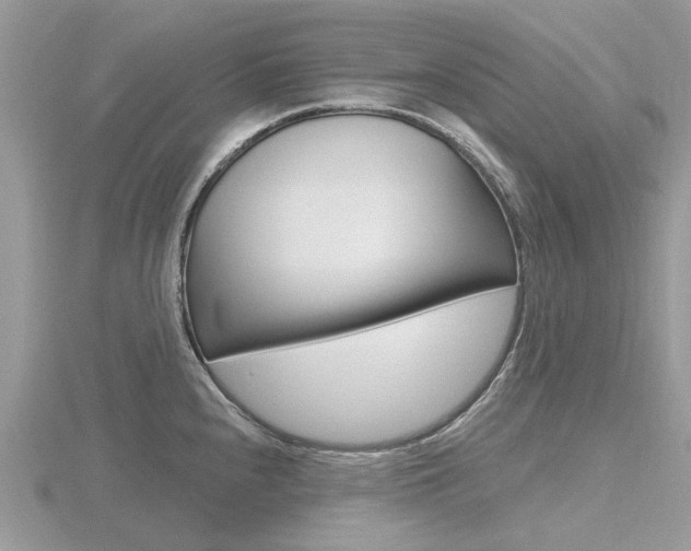 X0000116611240200912110954