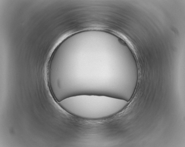 X0000116611243200912110954