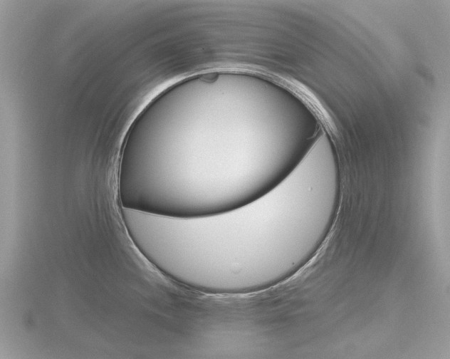 X0000116611244200912110954