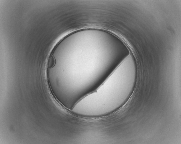 X0000116611246200912110954