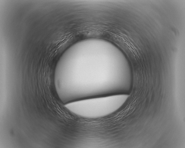 X0000116611250200912110953