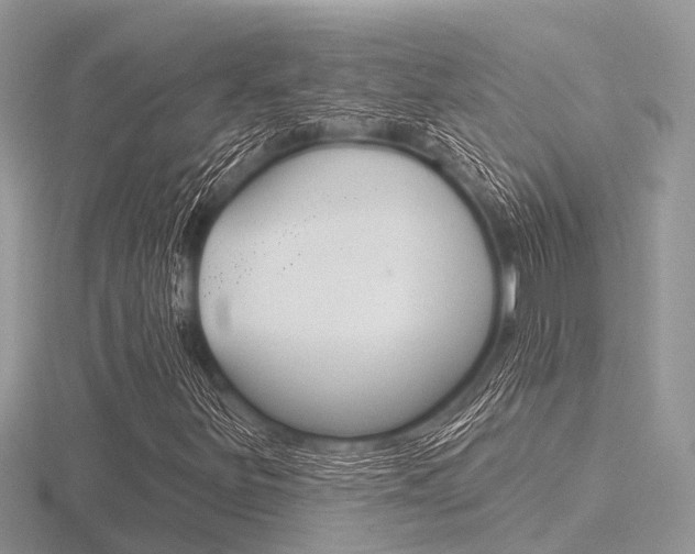 X0000116611251200912110953