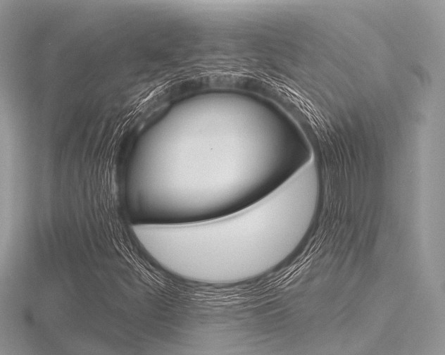 X0000116611252200912110953