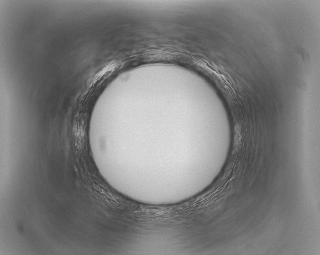 X0000116611254200912110953