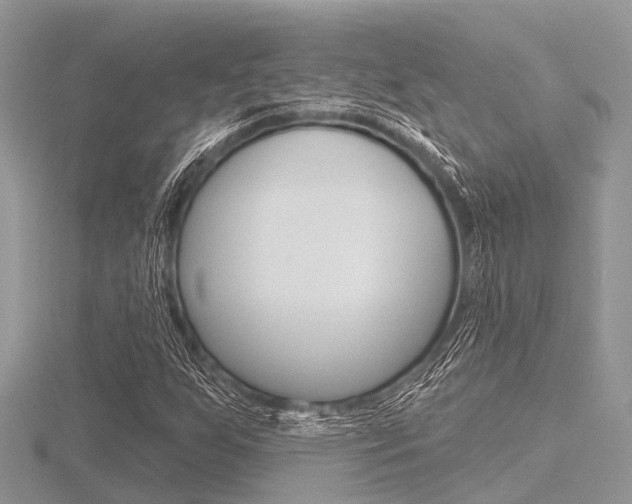X0000116611255200912110953