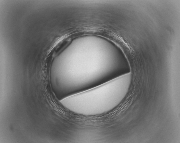 X0000116611256200912110953