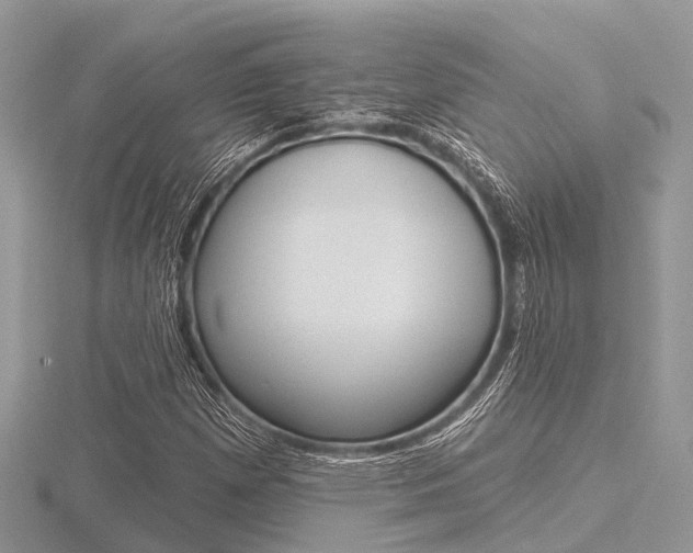 X0000116611257200912110953